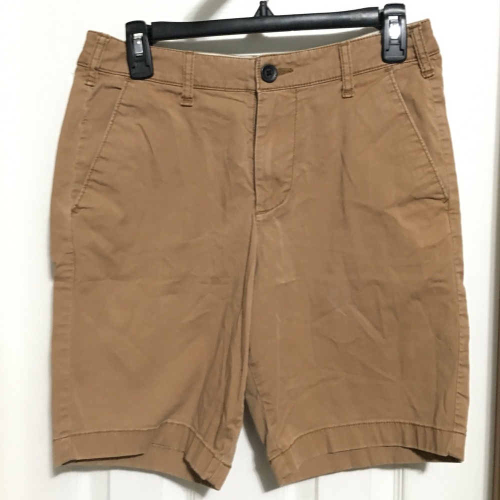 Hollister Classic Short Epic Flex 29